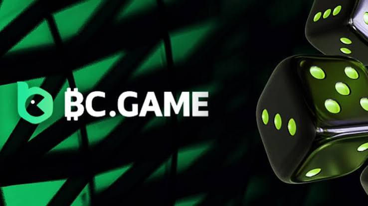 BC.Game App Download and Installation Guide -458472791