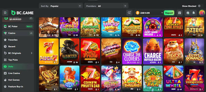 Explore the World of BC.Game Casino and Sportsbook